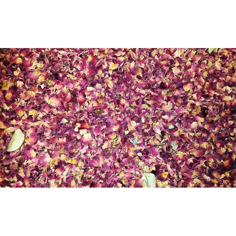 Rosen-Blütenblätter rot ganz