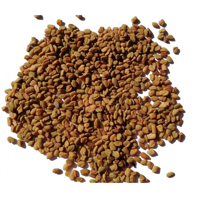 Fenugrec BIO, Trigonella foenum-graecum - Graines