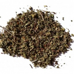 Cistrose Kraut geschnitten BIO (Zistrose