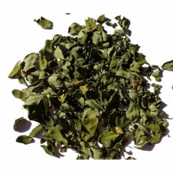 Moringablätter ganz BIO (Moringa)