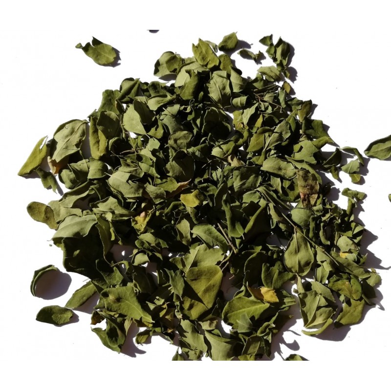 Moringablätter ganz BIO (Moringa)