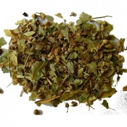 Lindenblüten BIO (Steinlinde)