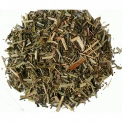 Lemon Fresh grün BIO