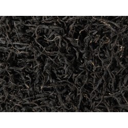 Грузия Уайлд ОП (Грузиния)