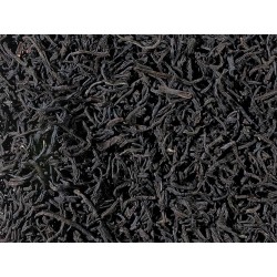 Ceylon Pettiagalla OP –...