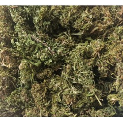 Industrial hemp, whole...